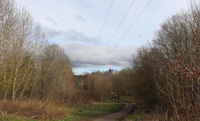 Walks at Alyn Waters Country Park